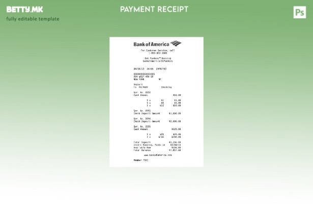 Модерен стил шаблон за чек на Банката на Америка на САД